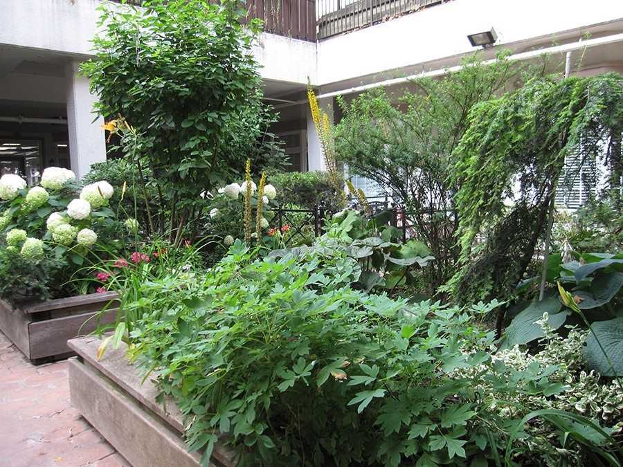 78 St Patrick Street #158A